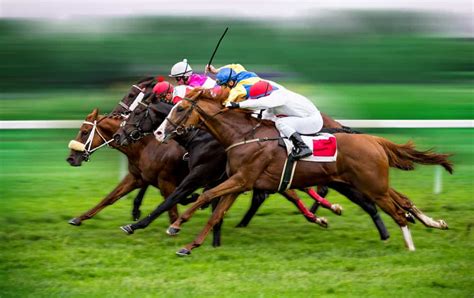 apostas online em corridas de cavalos